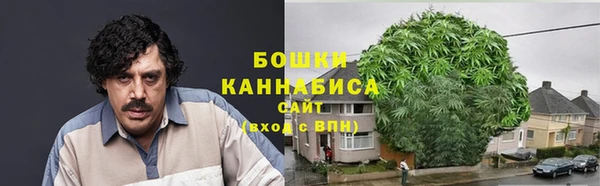 амф Богданович